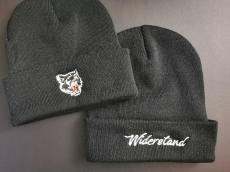 Beani Widerstand
